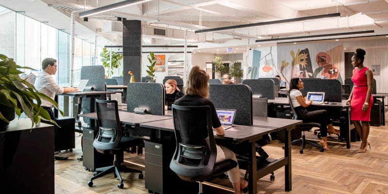 Coworking Day Passes now available at Spacecubed in Perth and Sydney
