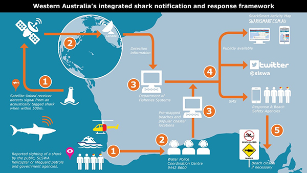 New, exclusive and exciting Shark data will feature for first time at GovHack Perth 2016