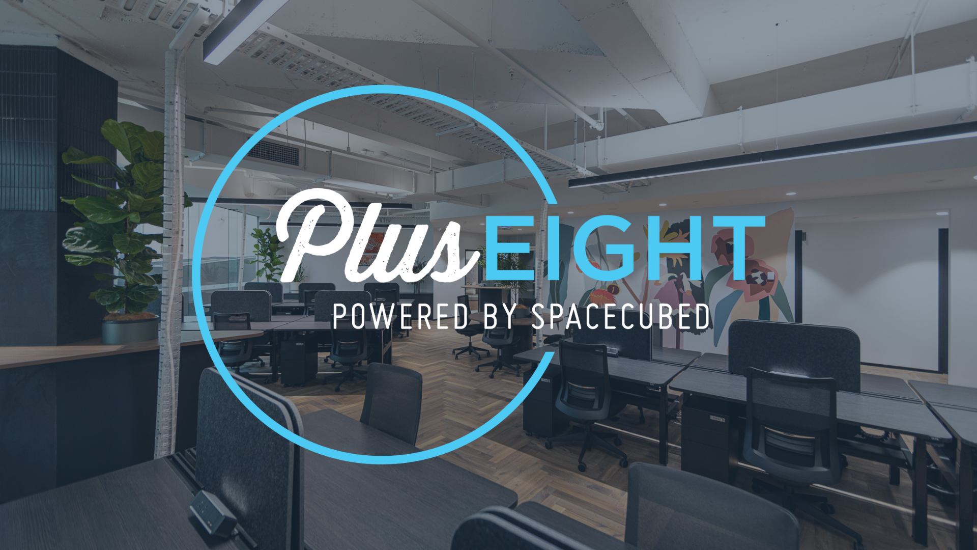 Founders, funding & focus; Six startups that just might change the world
